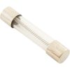 GLX-F20-Single Fuse Hayward AquaRite 20A Glass Slow Blo Single