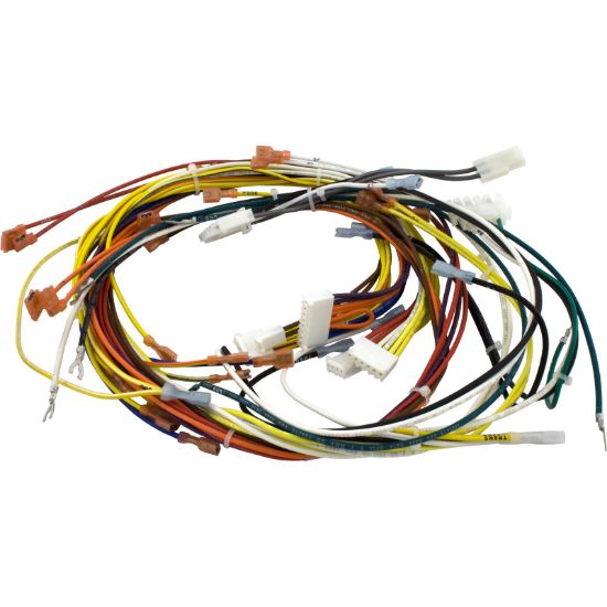 42001-0058S Wire Harness Pentair 115v/230v Heater