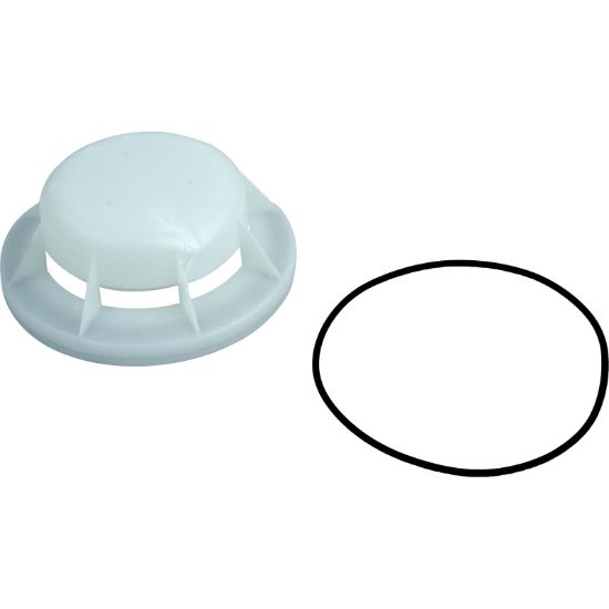 08650-0079 Skimmer Float Valve Pentair Sta-Rite U-3 with O-Ring