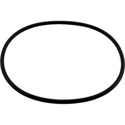 AXW542 O-Ring Hayward Leaf Cannisters