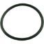 46911500 O-Ring Pentair Standard Air Control Handle