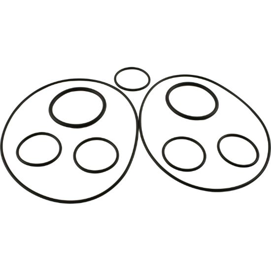 5-13-1 O-Ring Kit Zodiac Polaris Caretaker Valve