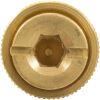 99-20-9100003 Brass AnchorGLI Safety Cover1.5
