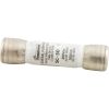 SC-30 Time Delay Fuse 30A 115v SC