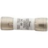 SC-20 Time Delay Fuse 20A 115v SC