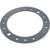 2308750005 Gasket Speck Badu Stream II Jet For Clamping Ring