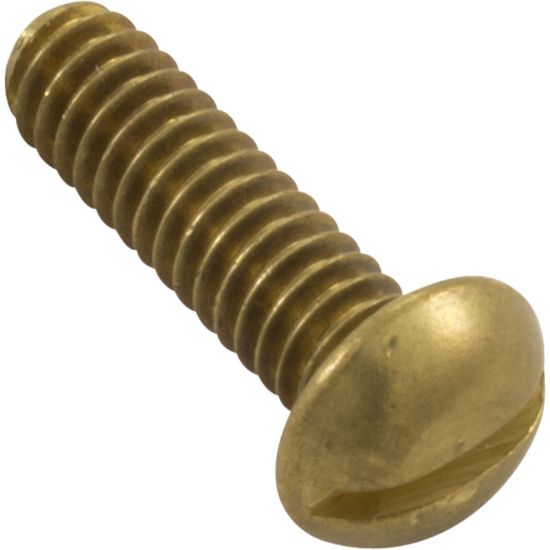  Screw 1/4