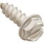 CH1036 Screw Aquastar ChemStar CH100#8 x 1/2