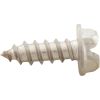 CH1036 Screw Aquastar ChemStar CH100#8 x 1/2