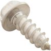 CH1036 Screw Aquastar ChemStar CH100#8 x 1/2