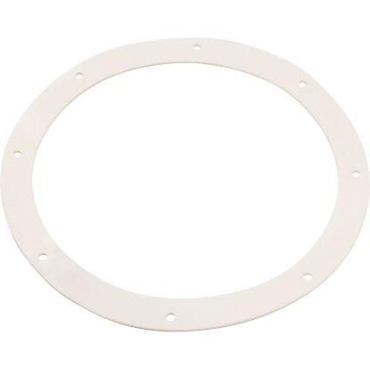 SG300 Gasket 8 Hole Light Niche9-3/4