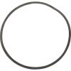 G-52 Gasket Sta-Rite N20-39 Pump G-52