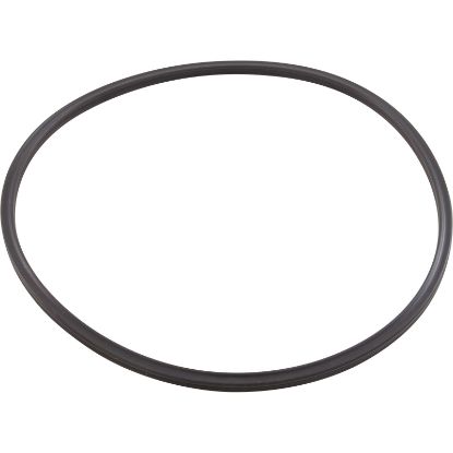 152516 Quad Ring Pentair Tagelus/Triton II Valve Adapter