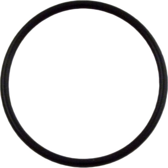 700203 O-Ring Advantage Mfg 2" Tailpiece O-301