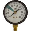 R0377700 Pressure Gauge Zodiac Ray-Vac/DM Hose 60 psi Bottom Mount