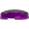 650016 Light Lens Cover Am Prod/Pentair SpaBrite/Aqualight Purple