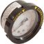 190059Z Pressure Gauge Pentair 1/4