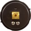 190059Z Pressure Gauge Pentair 1/4