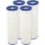 179135 Cartridge 4 Pack Pentair Clean & Clear Plus 420