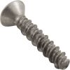 R172474 Screw Pentair Rainbow DSF/Safety Skimmer 13-16 x 1-1/4