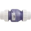 1720C20 Check Valve Flo Control Swing 2