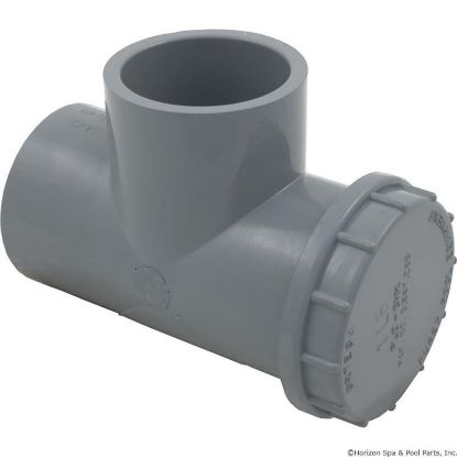 010651 Spring Check Valve Pentair Ortega 1lb 1-1/2"