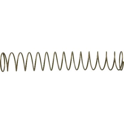 072523 Spring Pentair 90? Spring Check Valve 1 lb.