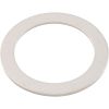 271193 Washer Pentair PacFab 1-1/2