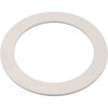 271193 Washer Pentair PacFab 1-1/2