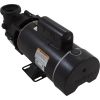 DJAYHB-0101HZW Pump BWG Dura-Jet DJ 3.0SPL Century 230v 2-Spd 48fr 2