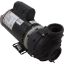 DJAYHB-0101HZN Pump BWG DuraJet DJ 3.0SPL USMtr 230v 2-Spd 2