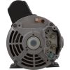DJAYHB-0101HZN Pump BWG DuraJet DJ 3.0SPL USMtr 230v 2-Spd 2