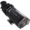 DJAYHB-0101HZN Pump BWG DuraJet DJ 3.0SPL USMtr 230v 2-Spd 2