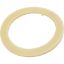 31B9034 Bulkhead Washer Pentair Sta-Rite HRP36