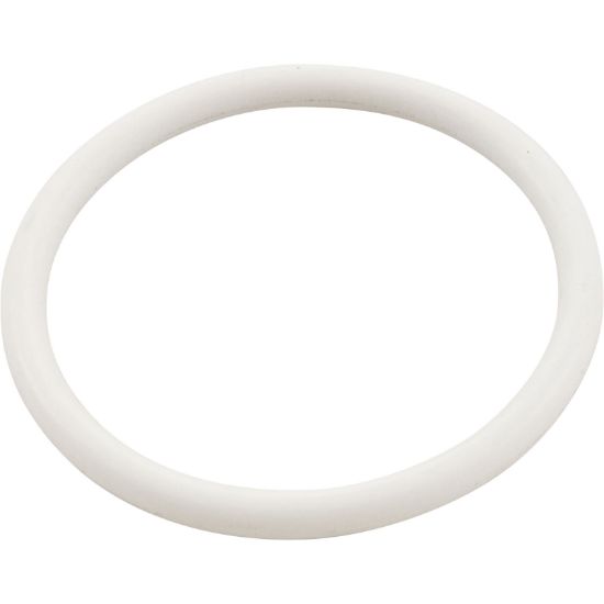 274495 O-Ring Pentair TR100C/TR140C Valve Body to Lid