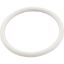 274495 O-Ring Pentair TR100C/TR140C Valve Body to Lid