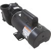 3421821-1UHZW Pump WW Ex2 3.0SPL Century 230v 2-Spd 48fr 2