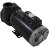 3722021-1VHZN Pump WW Viper US Motor5.0hp230v2Spd56fr2-1/2