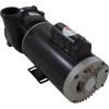 3722021-13HZN Pump WW Exec 5.0hp US Motor230v2-Spd56fr2-1/2