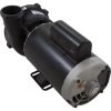 3721621-13HZW Pump WW Exec 4.0hp Century 230v 2-Spd 56fr 2-1/2