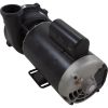3721621-1DHZW Pump WW Exec 4.0hp Century 230v 2-Spd 56fr 2