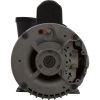 3711621-1DHZN Pump WW Exec 4.0hp US Motor 230v 1-Spd 56fr 2