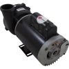 3711621-1DHZN Pump WW Exec 4.0hp US Motor 230v 1-Spd 56fr 2