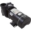3410410-1AHZW Pump WW Exec 1.0SPL Century 115v 1-Spd 48fr 2