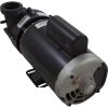  Pump BWG Vico Ultimax 4.0hp Century 230v 2-Spd 56fr 2