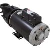  Pump BWG Vico Ultimax 4.0hp USMotor 230v 2-Spd 56fr 2