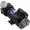 06125000-1040 PumpAqua Flo XP22.5hp230v2-Spd48fr2