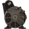 3421221-1A Pump WW Exec 3.0SPL 230v 2-Spd 48fr 2