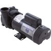 3411621-13 Pump WW Exec 4.0SPL 230v 1-Spd 48fr 2-1/2