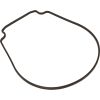 357102Z Gasket Pent/Whisperflo Seal Plate Special ID/OD pre 2/08